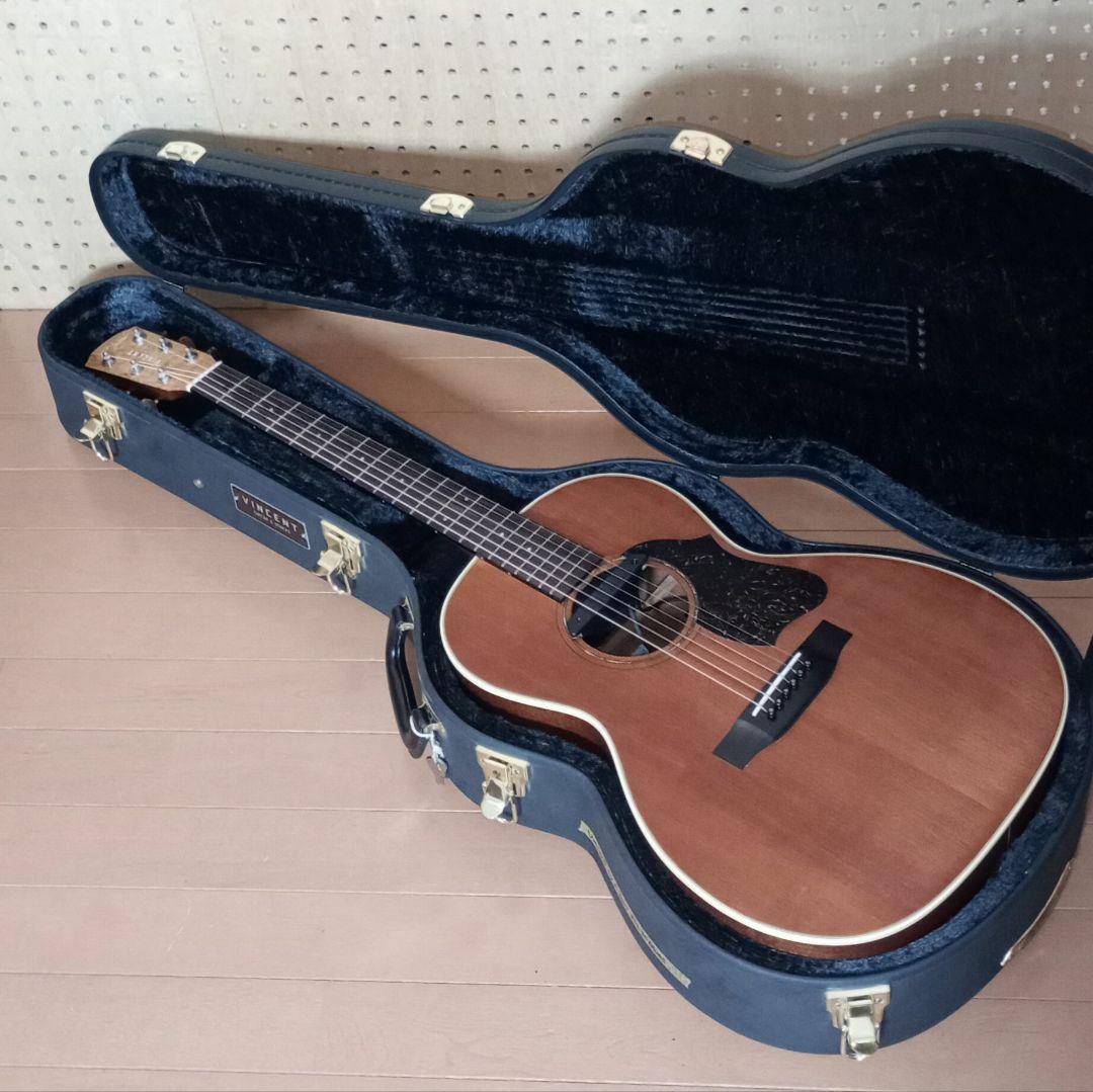 Vincent VN-30Blues HC付 Fishman後付け