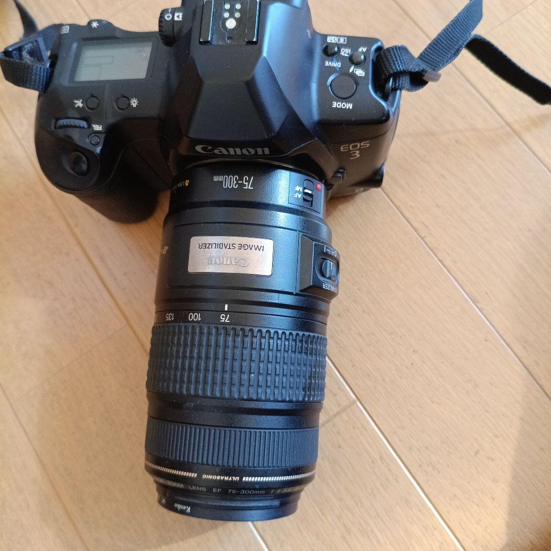 Canon EOS 3 + EF 75-300mmレンズ