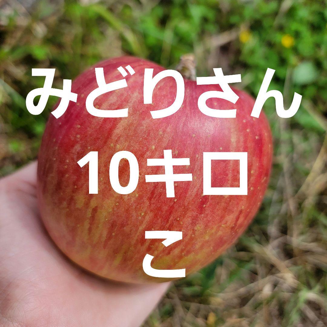 みどりさん10キロこ