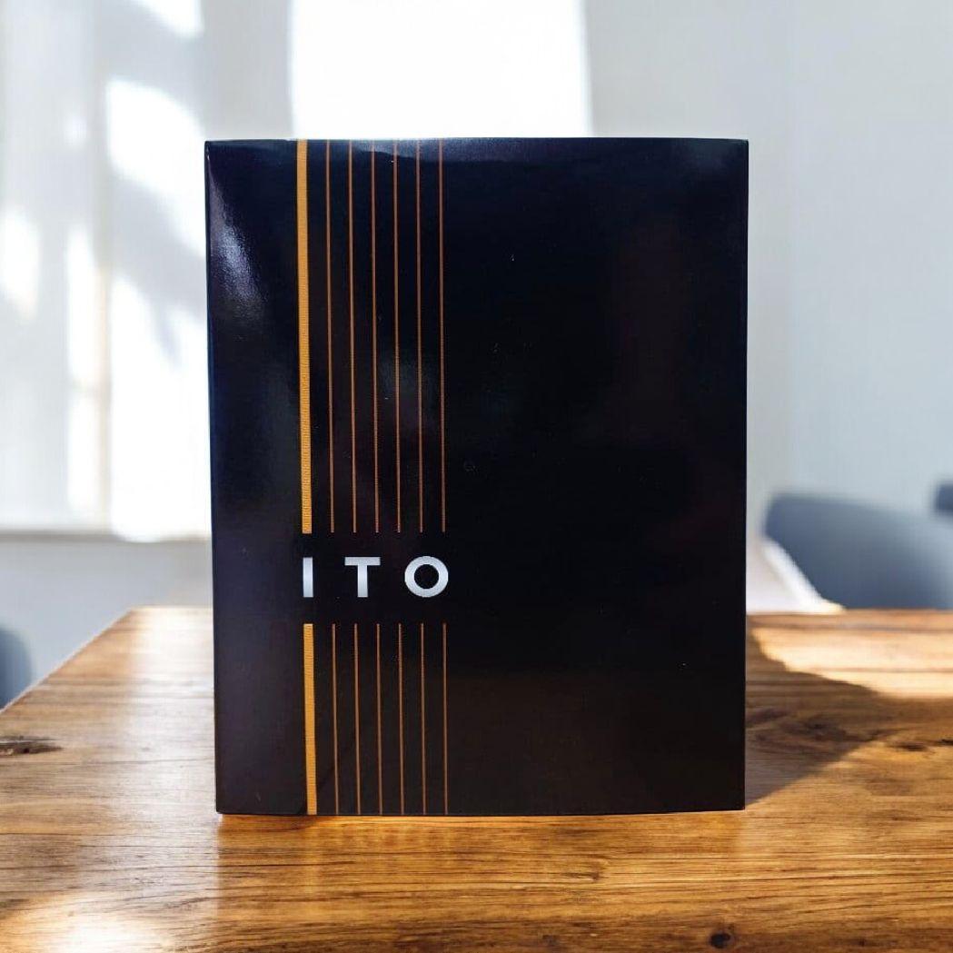 DUNU × KOTO ITO かじかじ氏監修 有線イヤホン