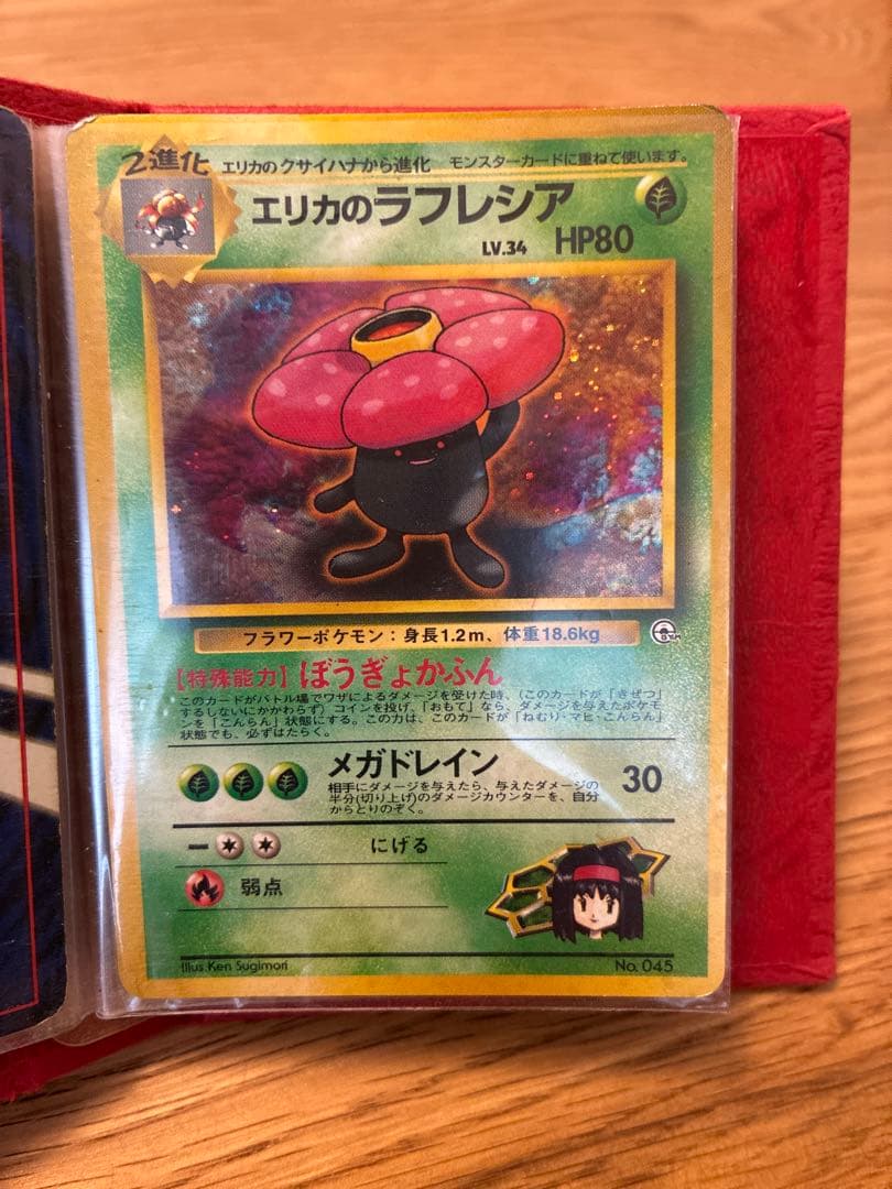 ポケカ　わるいリザードン他　13枚