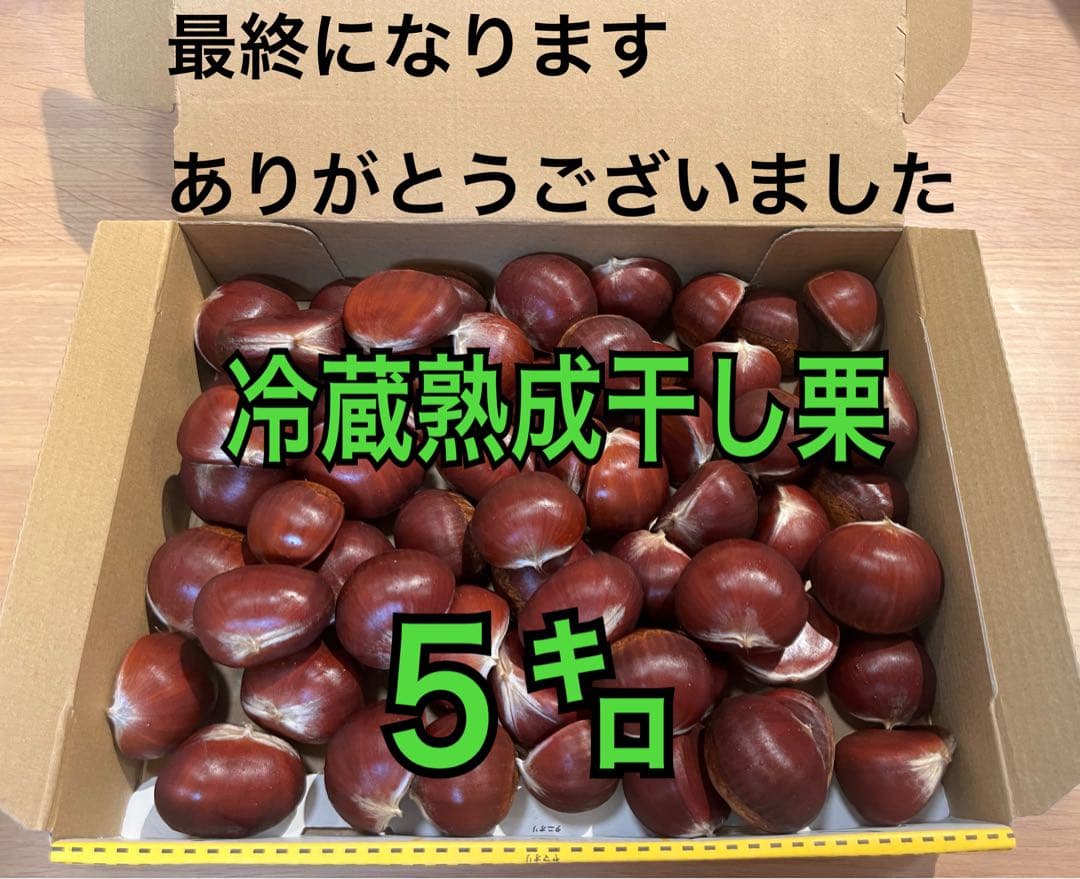 茨城県産　倉方甘栗　冷蔵熟成干し栗　５㌔ 生栗