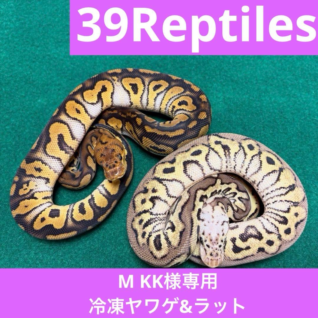 冷凍ラットS M15ヤワゲ M 3M L7 L 8