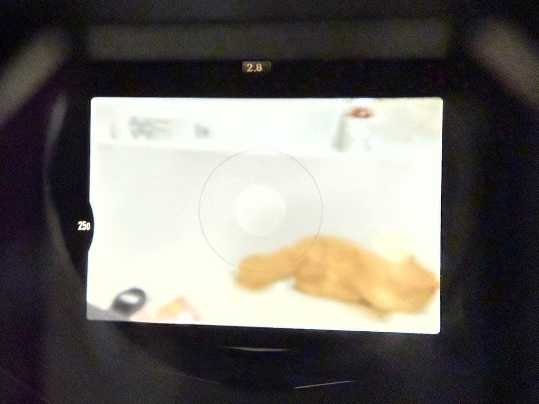 NikonNewFM2フィルムカメラ/ Nikkor S-auto 50/1.4