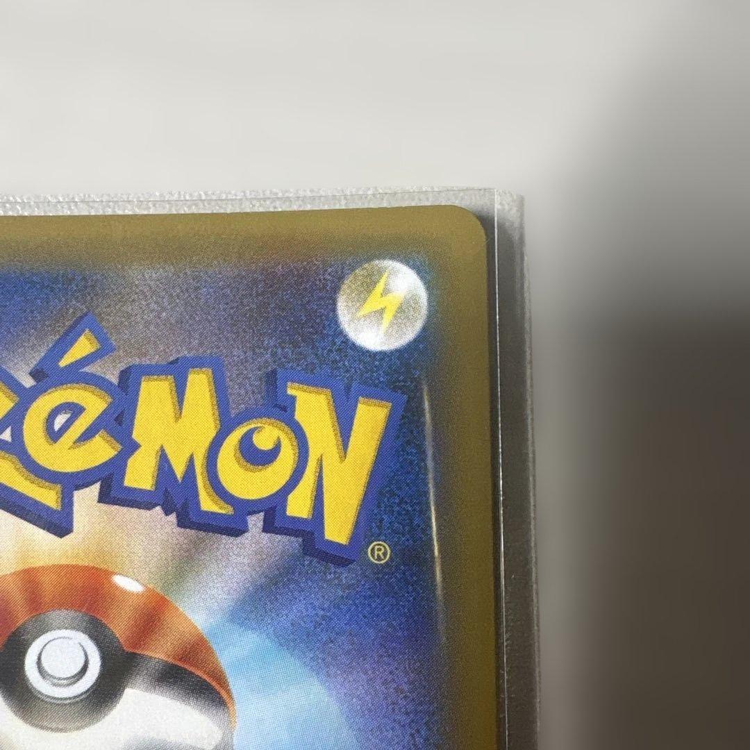 リザードンフシギバナ25th