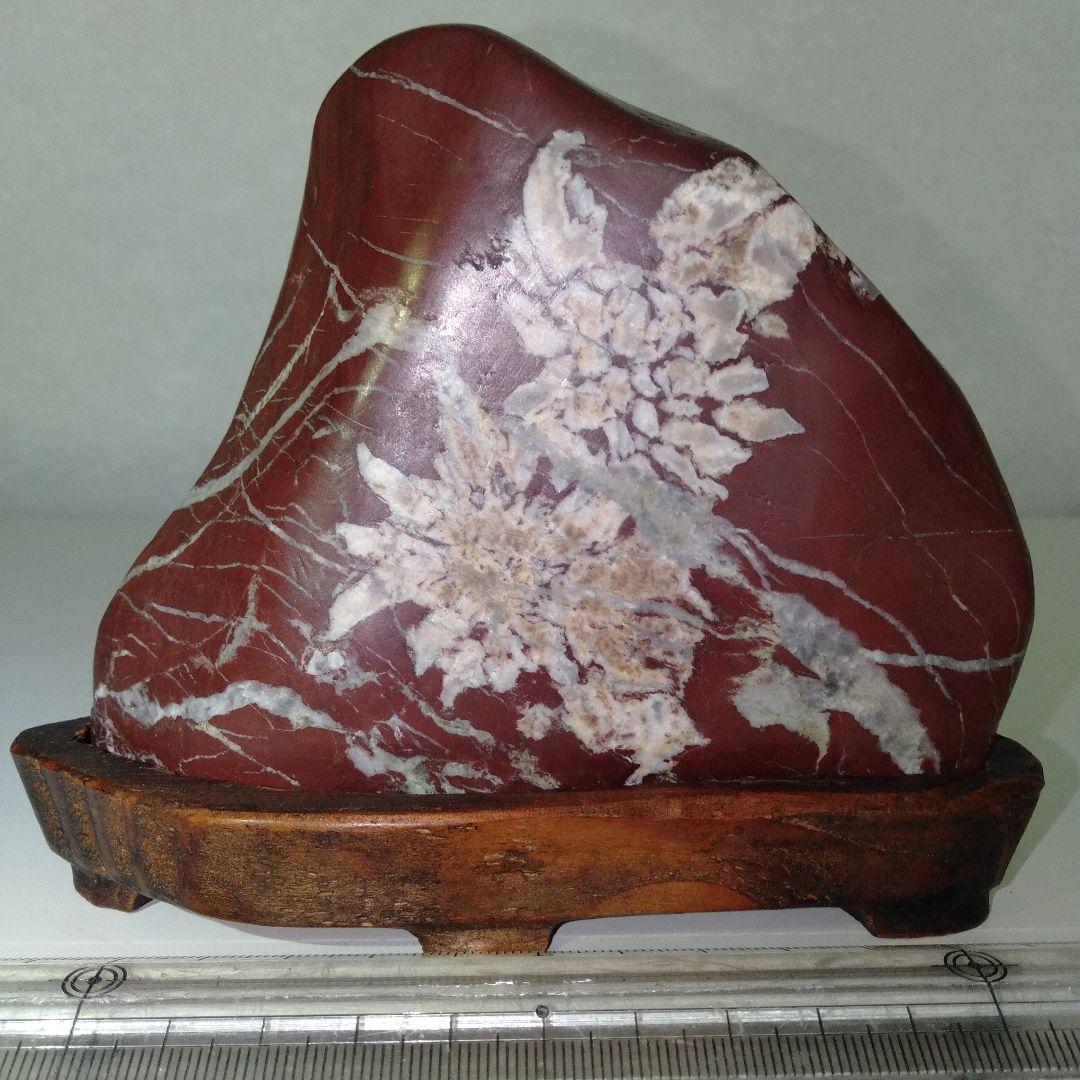 菊花石　水石　エーデルワイス　美麗台付き１個