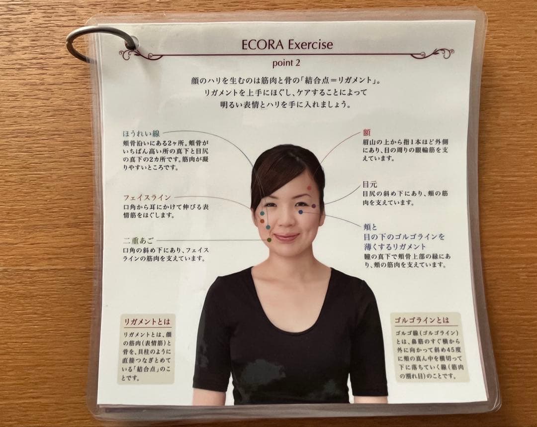 YOSAエコーラ 全身に使える美顔ローラー(パウチした説明書付)