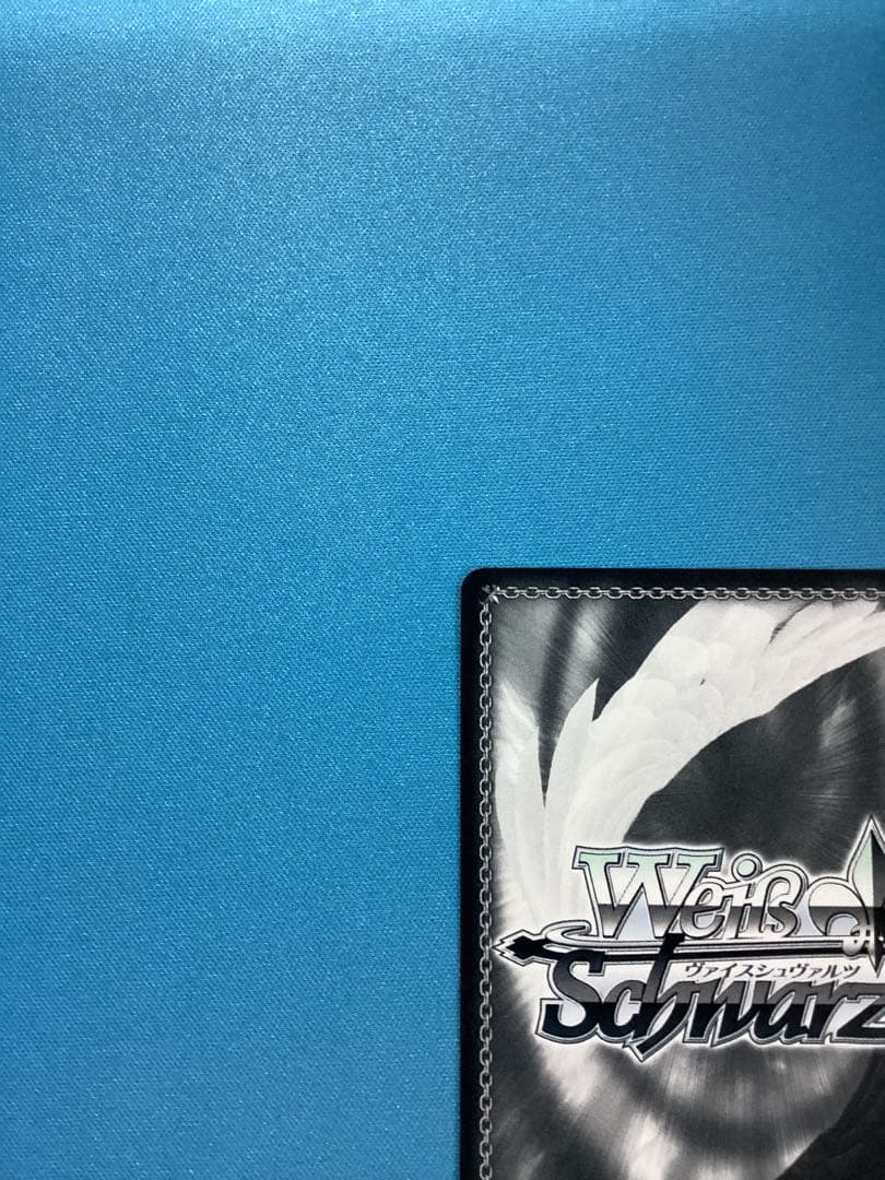 WS 白い稲妻 タマモクロス SSP サイン