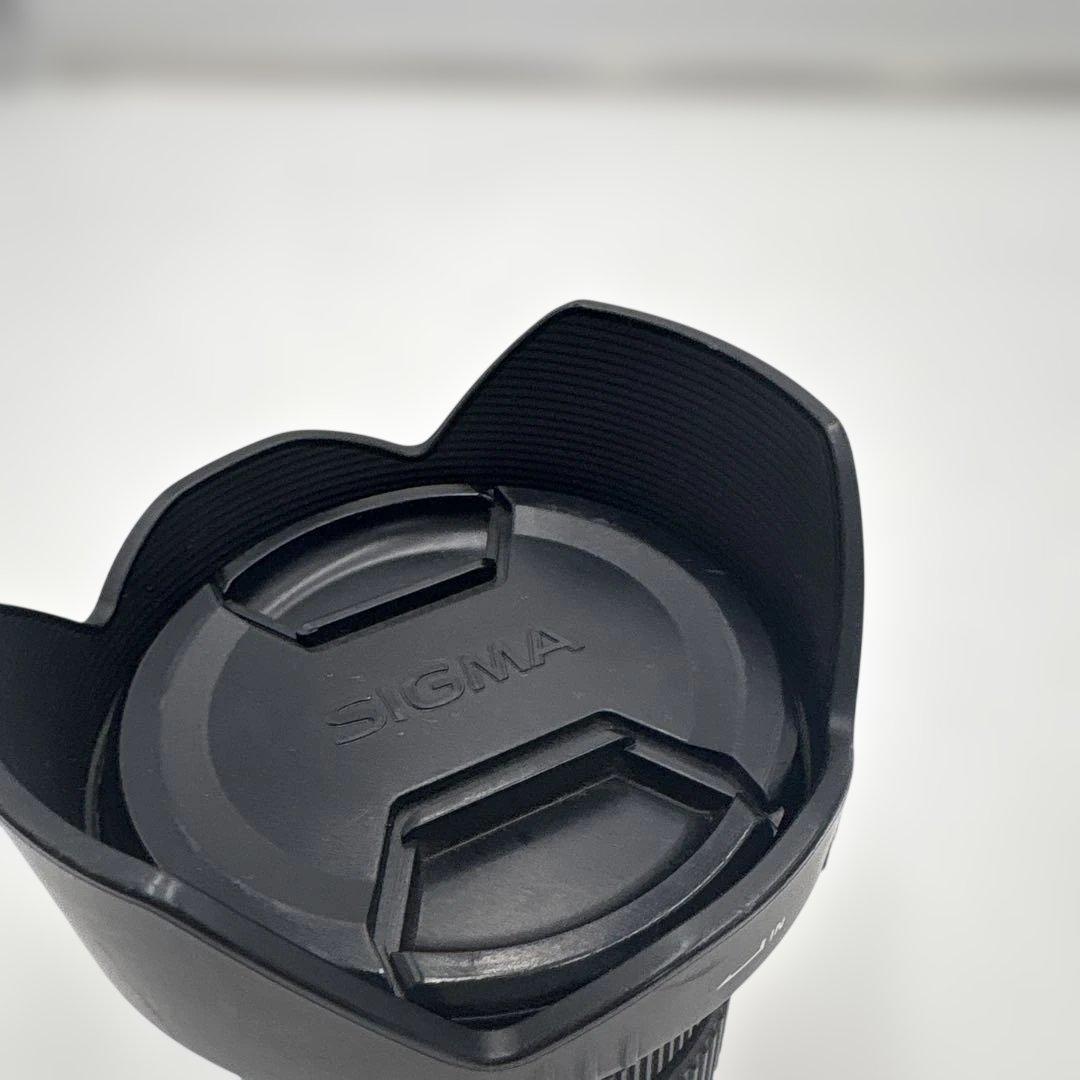 SIGMA 17-50mm F2.8 EX DC OS HSM 望遠レンズ