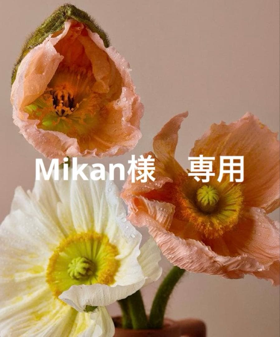 Mikan　本日発送　ベージュ36サイズ