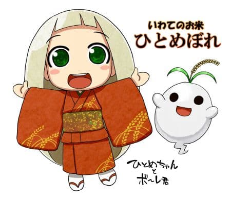 玄米10kg岩手県奥州市前沢産ひとめぼれ令和7年産米