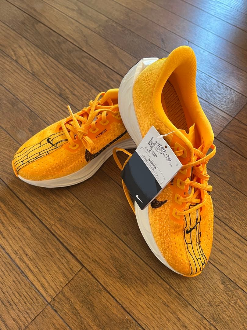 Nike Pegasus Plus LV8 25cm 値下げしました