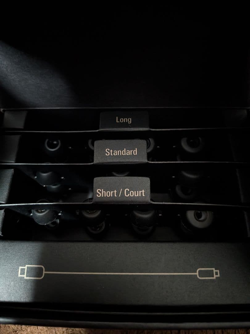 tonton24さま専用　audio-technica ATH-TWX9MK2