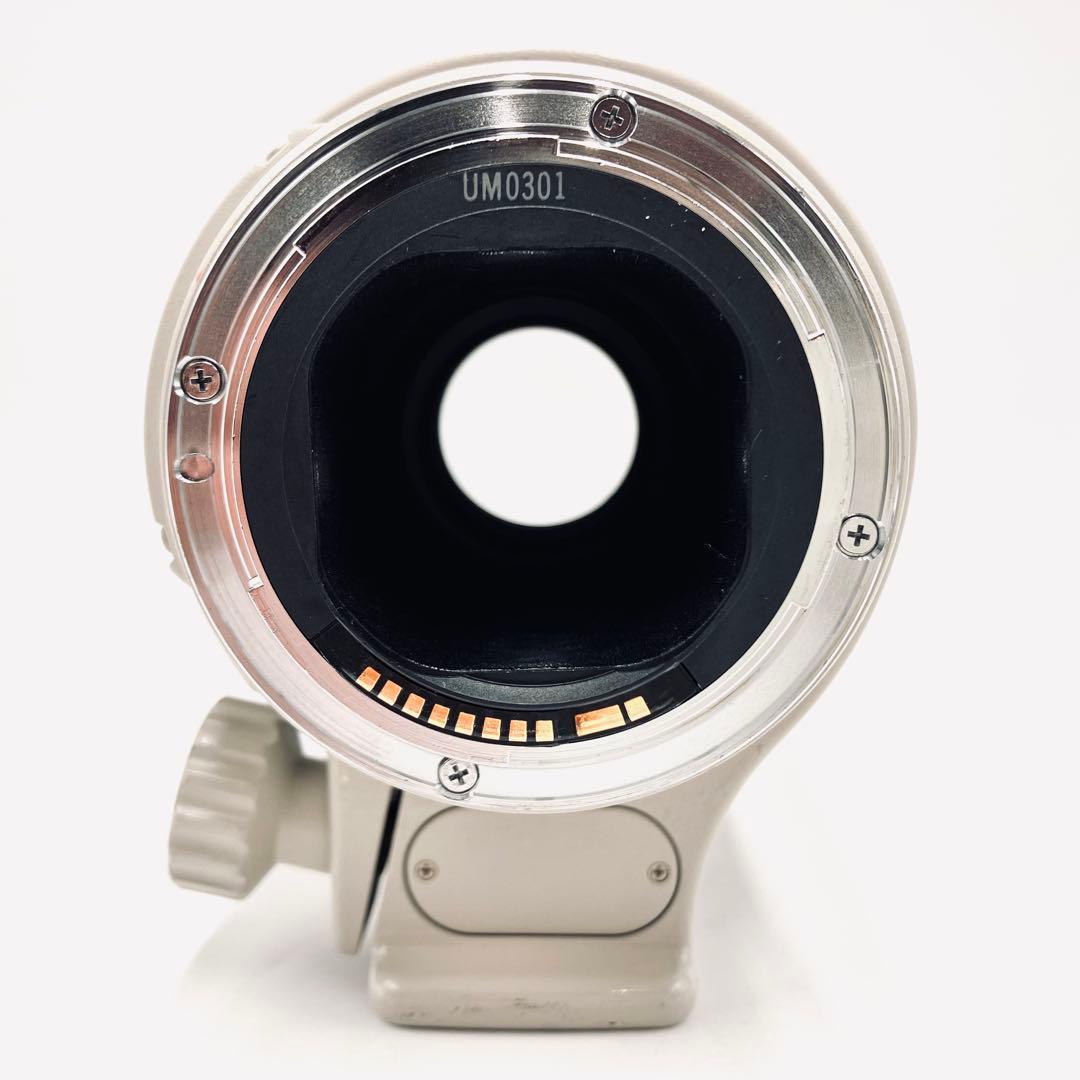 レンズ(単焦点) Canon EF 300mm F4 L USM