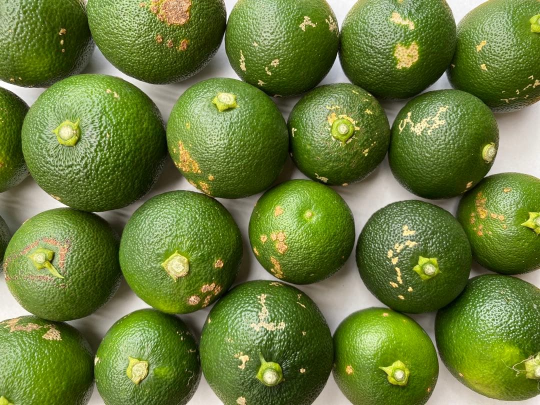 徳島県神山町産すだち　混合サイズ　　20キロ　　キズ多く・色むらあり　②