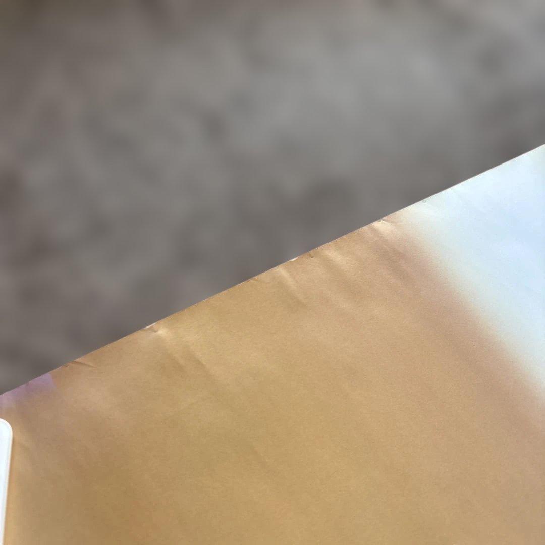 原真祐美 ポスター 　B2サイズ