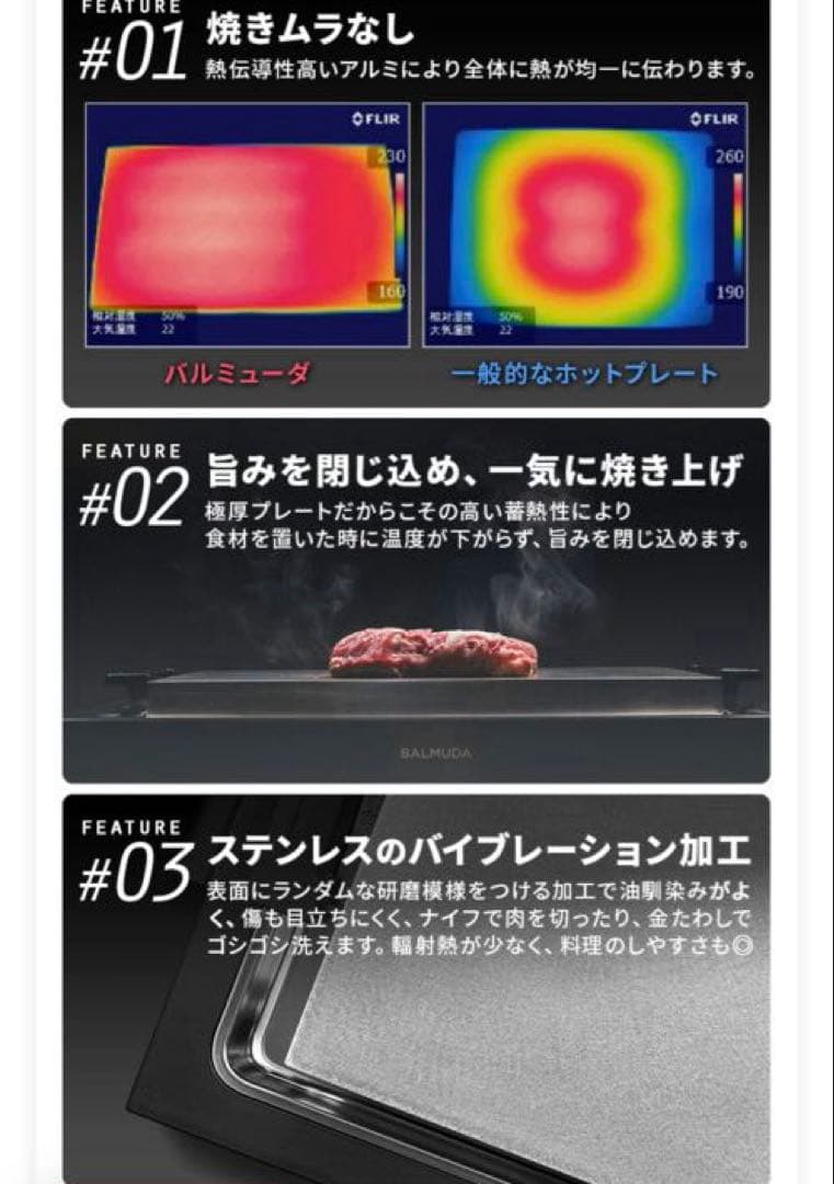 【正規店】 バルミューダ ザ・プレート プロ フルセット