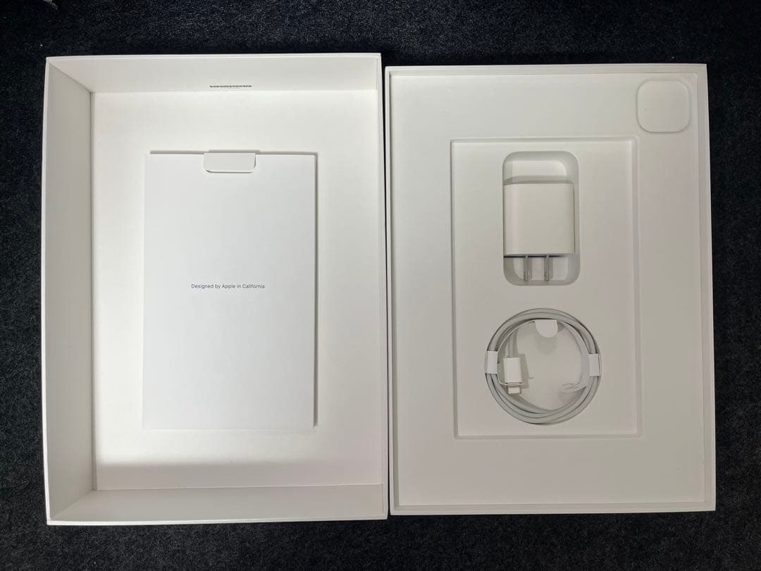 iPad Pro 11インチ (第2世代) スペースグレー