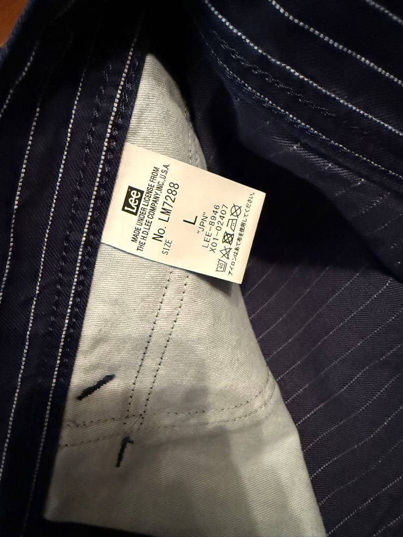 LEE DUNGAREESワイドペインター