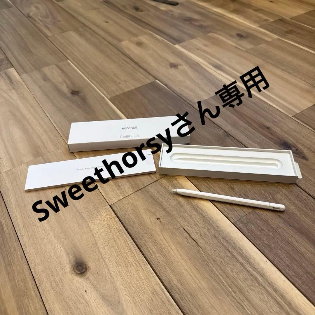 iPadアクセサリー Apple pencil (USB-C)