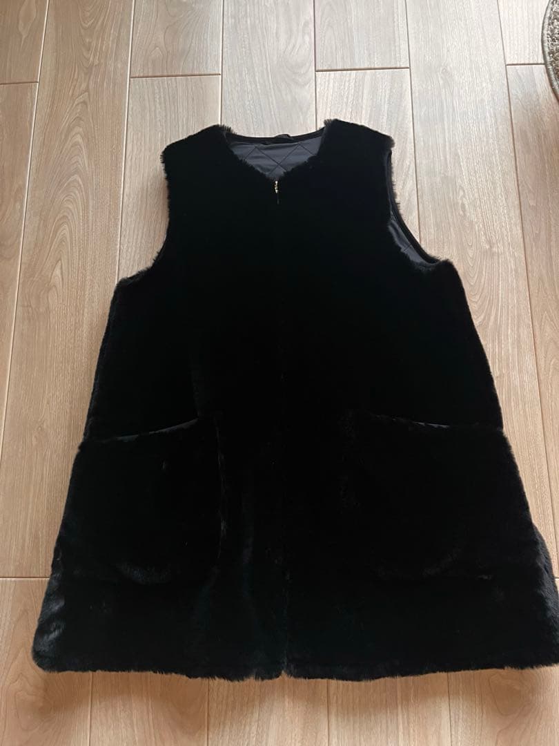 柴犬　バブアー　ビームス