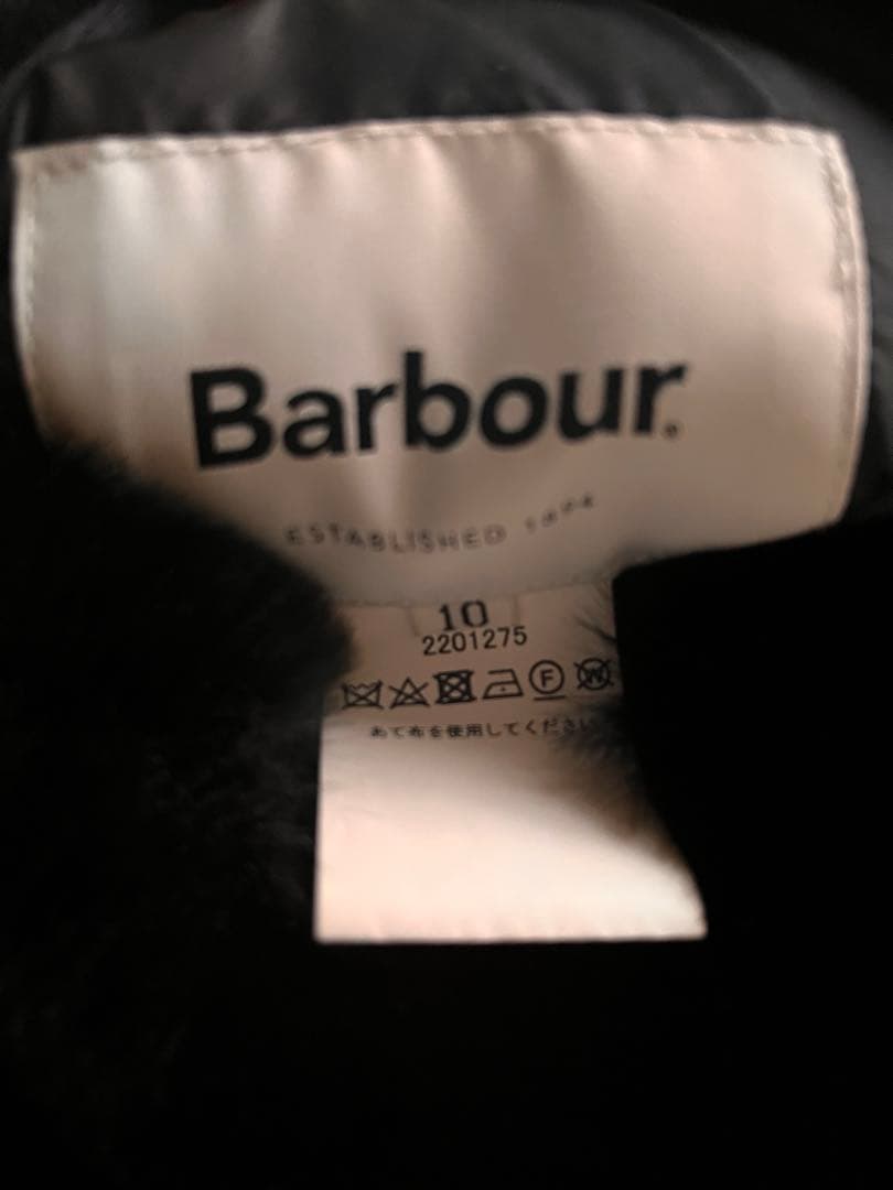 柴犬　バブアー　ビームス