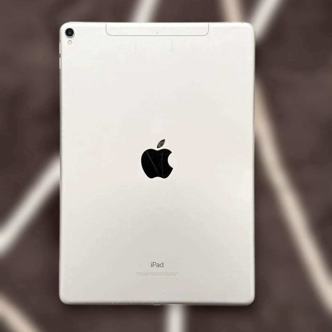 iPad Pro 10.5インチ 256GB Wi-Fi + Cellular