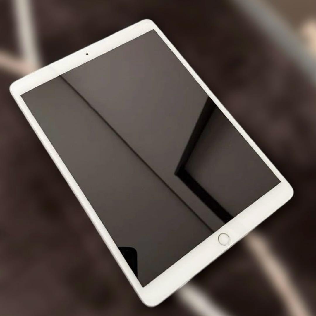 iPad Pro 10.5インチ 256GB Wi-Fi + Cellular