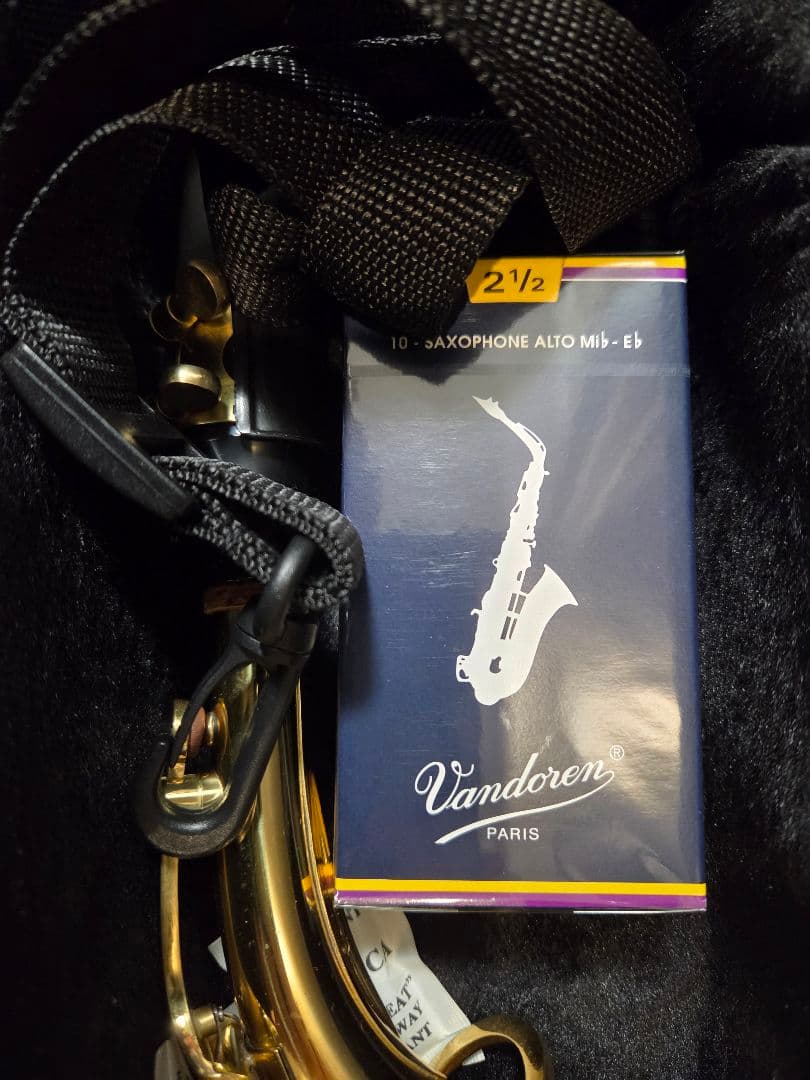 Soleil SAL-1 アルトサックス ケース付