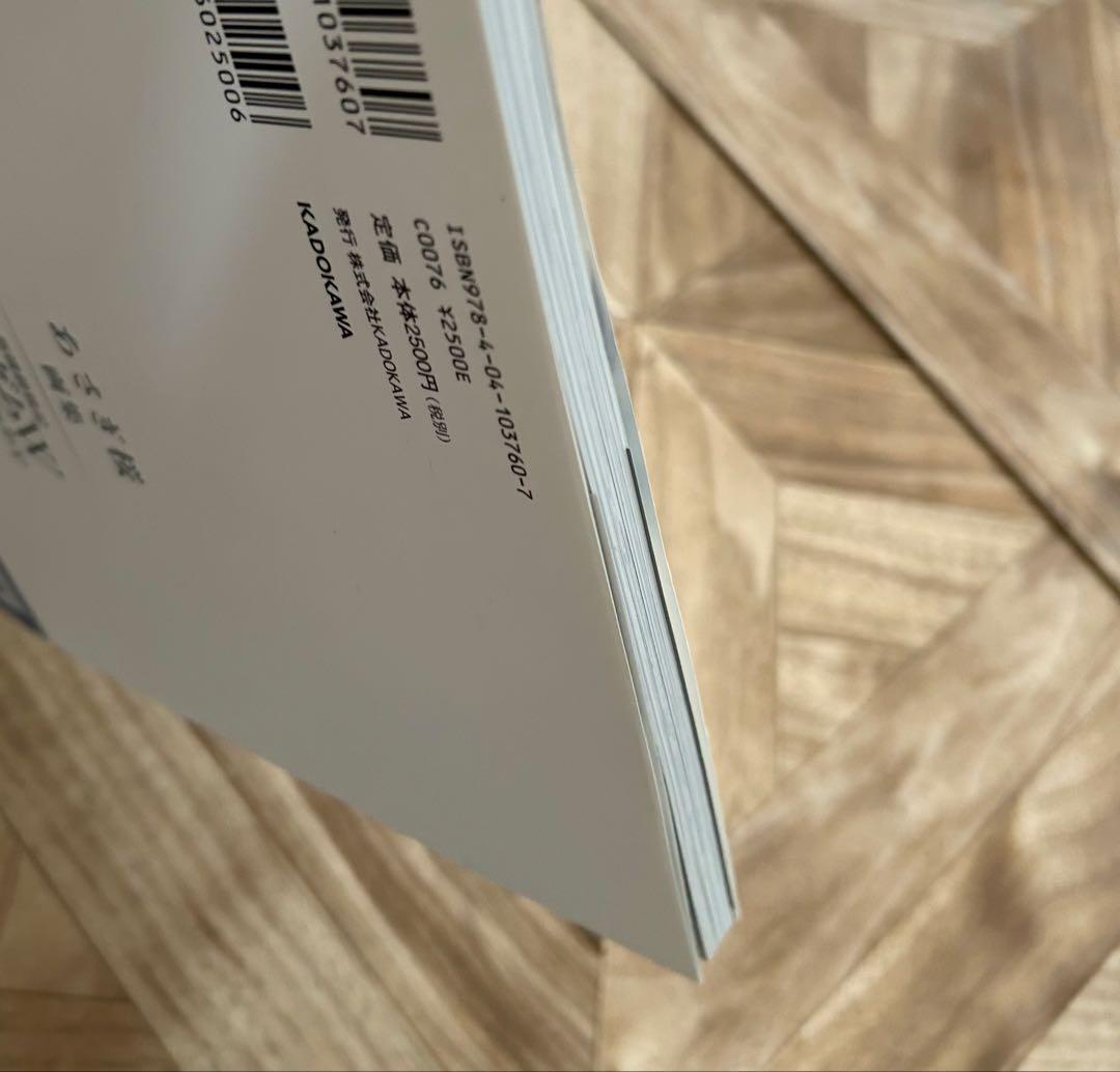 あさぎ桜 ガンダムW 画集 未使用美品 レア！フローズンティアドロップ