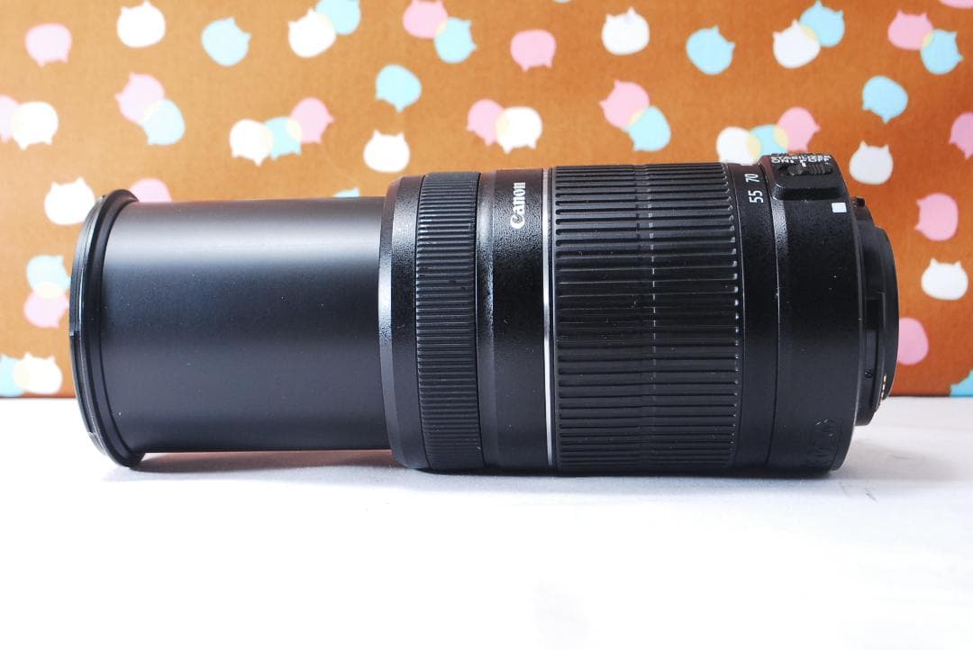 ✨美品✨Canon EF-S 55-250mm F4-5.6 IS Ⅱ