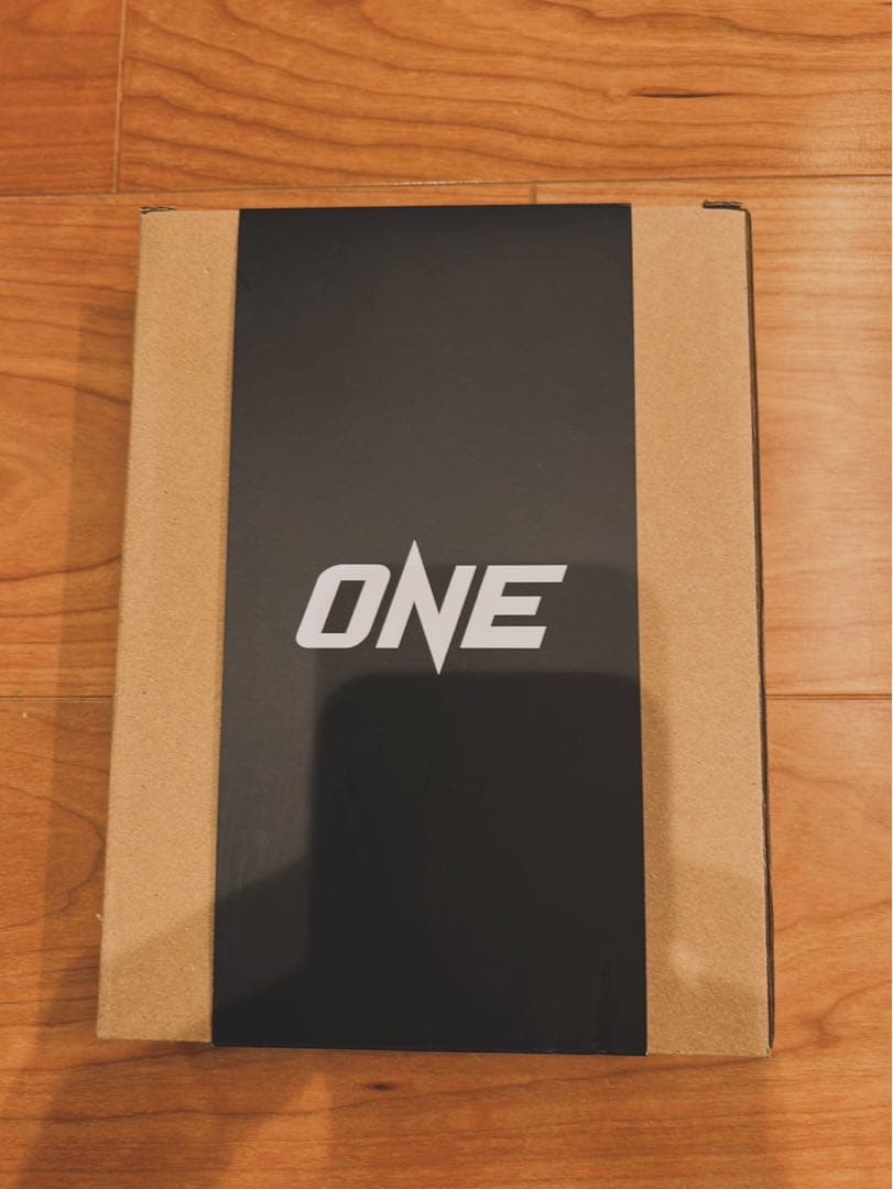 ONE 武尊VSロッタン直筆サイン