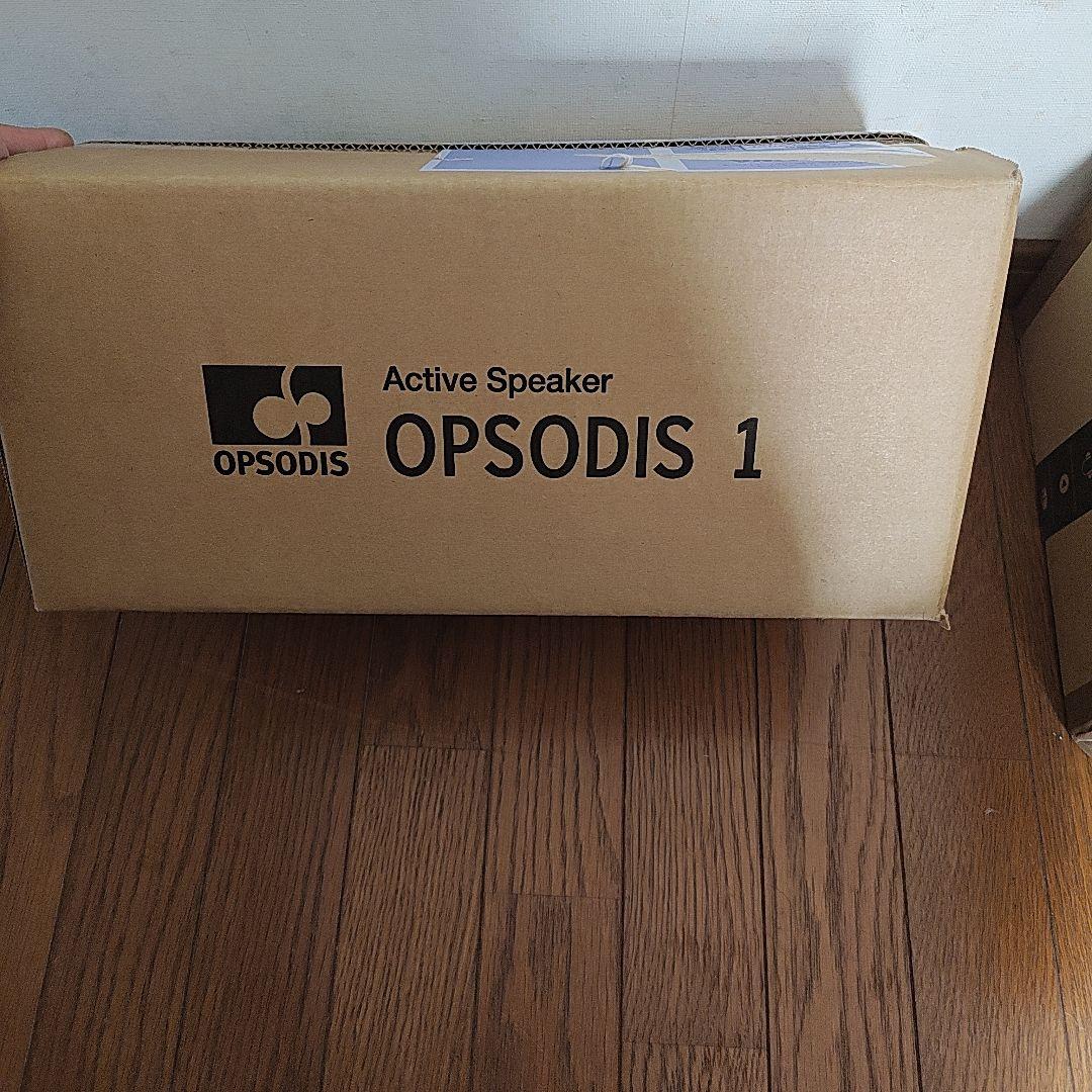 アクティブスピーカー　OPSODIS1　鹿島建設制作　３６０度立体音響スピーカー