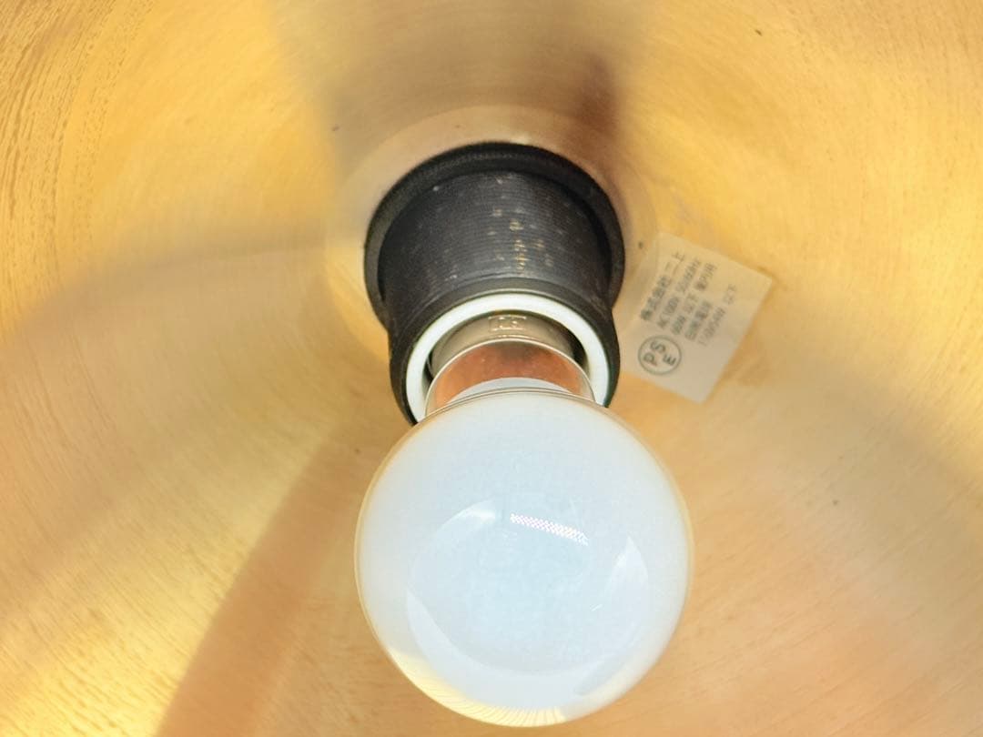 フタガミ / FUTAGAMI ペンダントランプ 半球