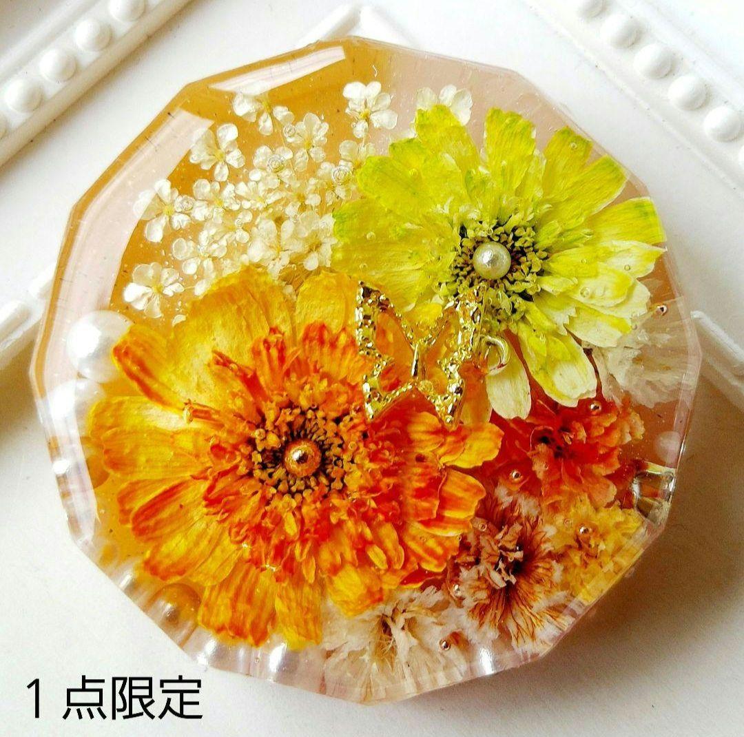 キラ　レジン　ヘアゴム　ポニーフック　ブローチ