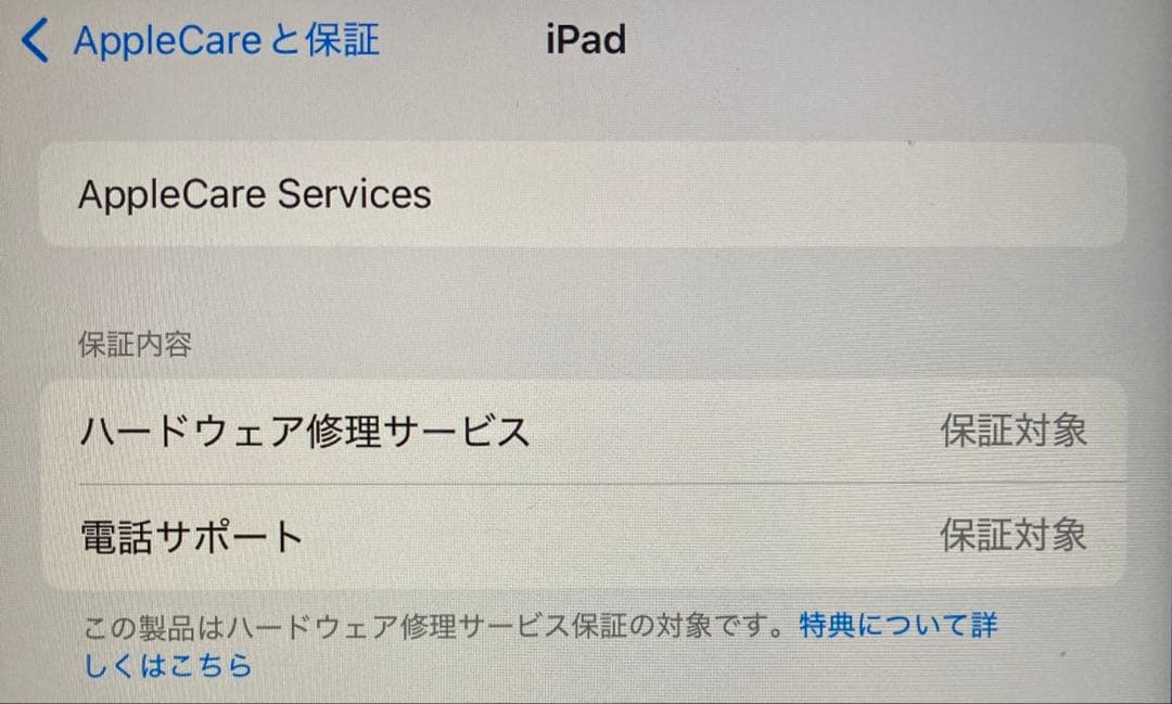 美品　Apple iPad 10世代 64GB セルラー Cellular