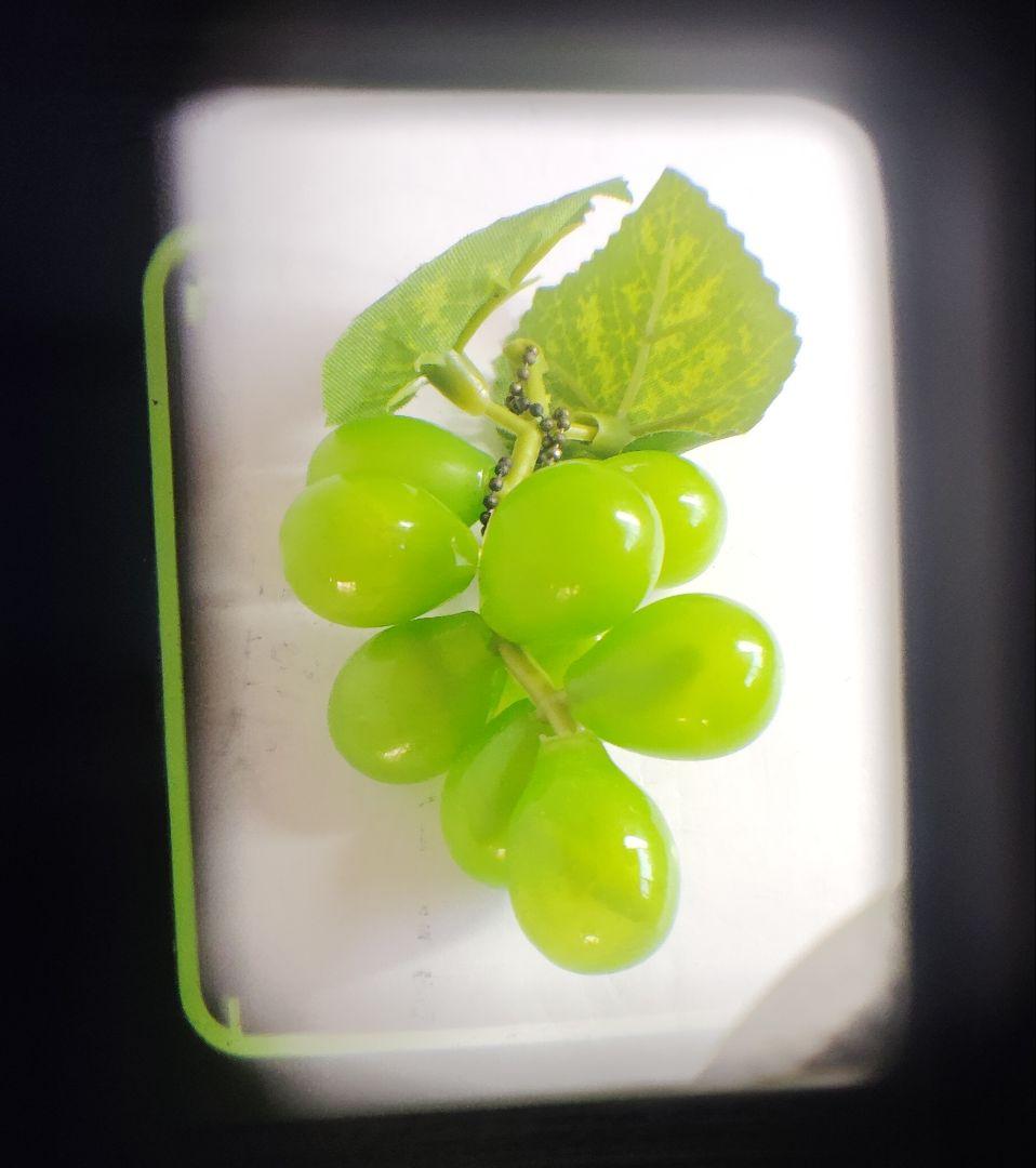 OLYMPUS PEN EED（動作品）