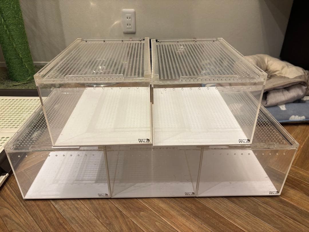 レプタイルボックス5ケース　爬虫類飼育ケース
