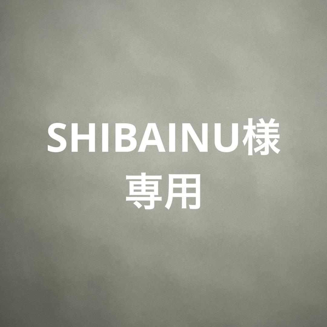 iPad Pro (第5世代) 12.9インチSHIBAINUさん専用