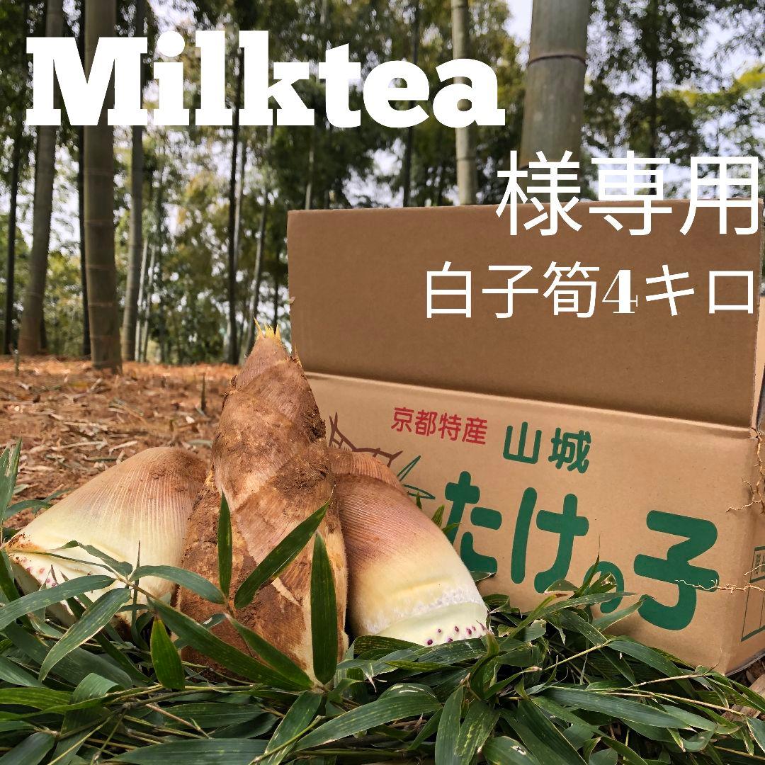 Milktea 白子筍4キロクール