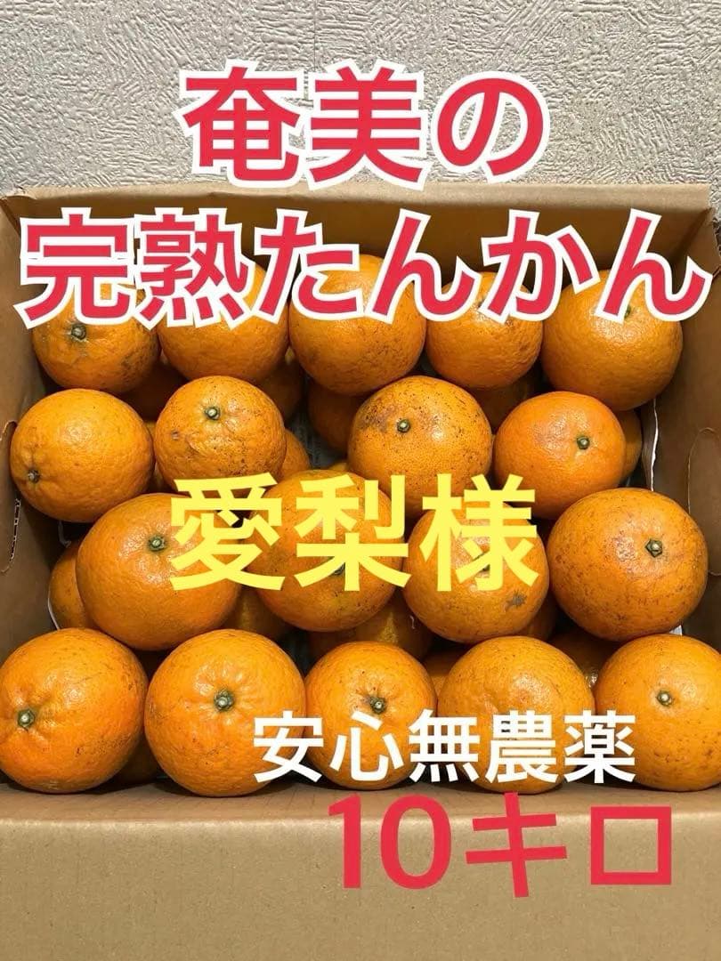 愛梨様、ギフト用★奄美大島産★2/2より順次発送　奄美の完熟たんかん　10キロ