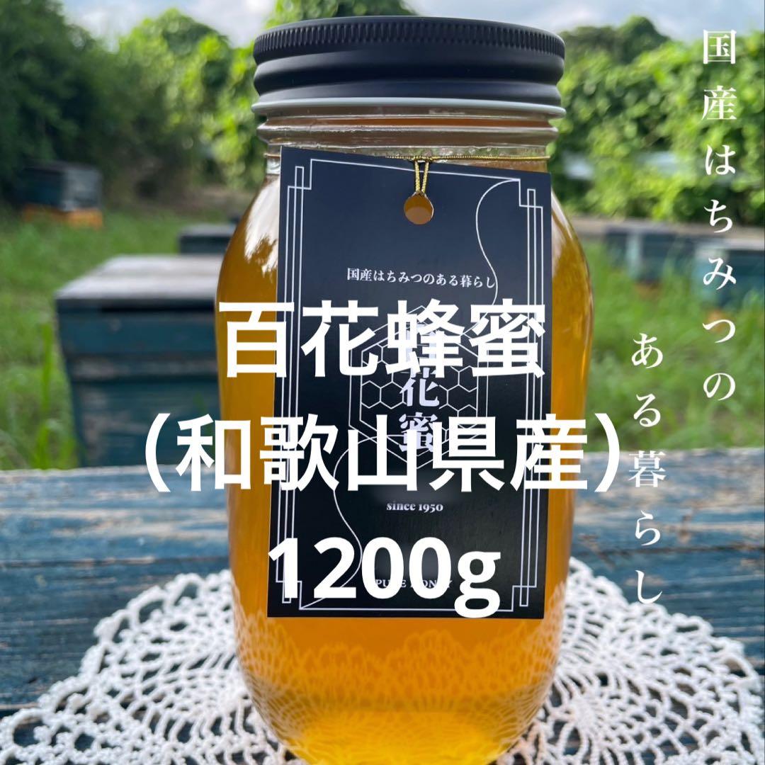 【パセリとズッキーニページ】