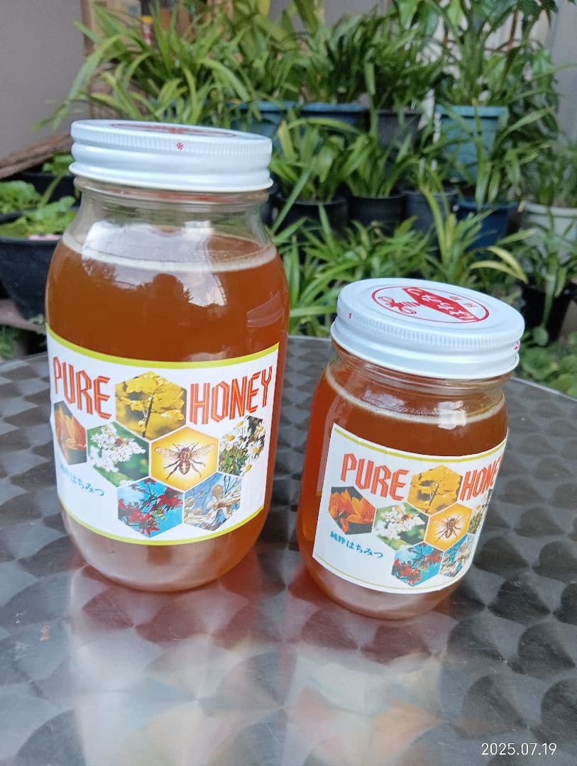 ニホンミツバチの百花蜜　国産天然ハチミツ　1180グラムと580グラム　各1本