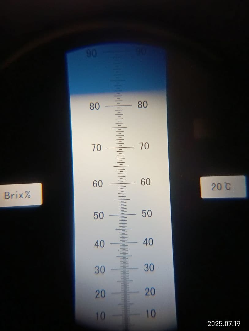 ニホンミツバチの百花蜜　国産天然ハチミツ　1180グラムと580グラム　各1本
