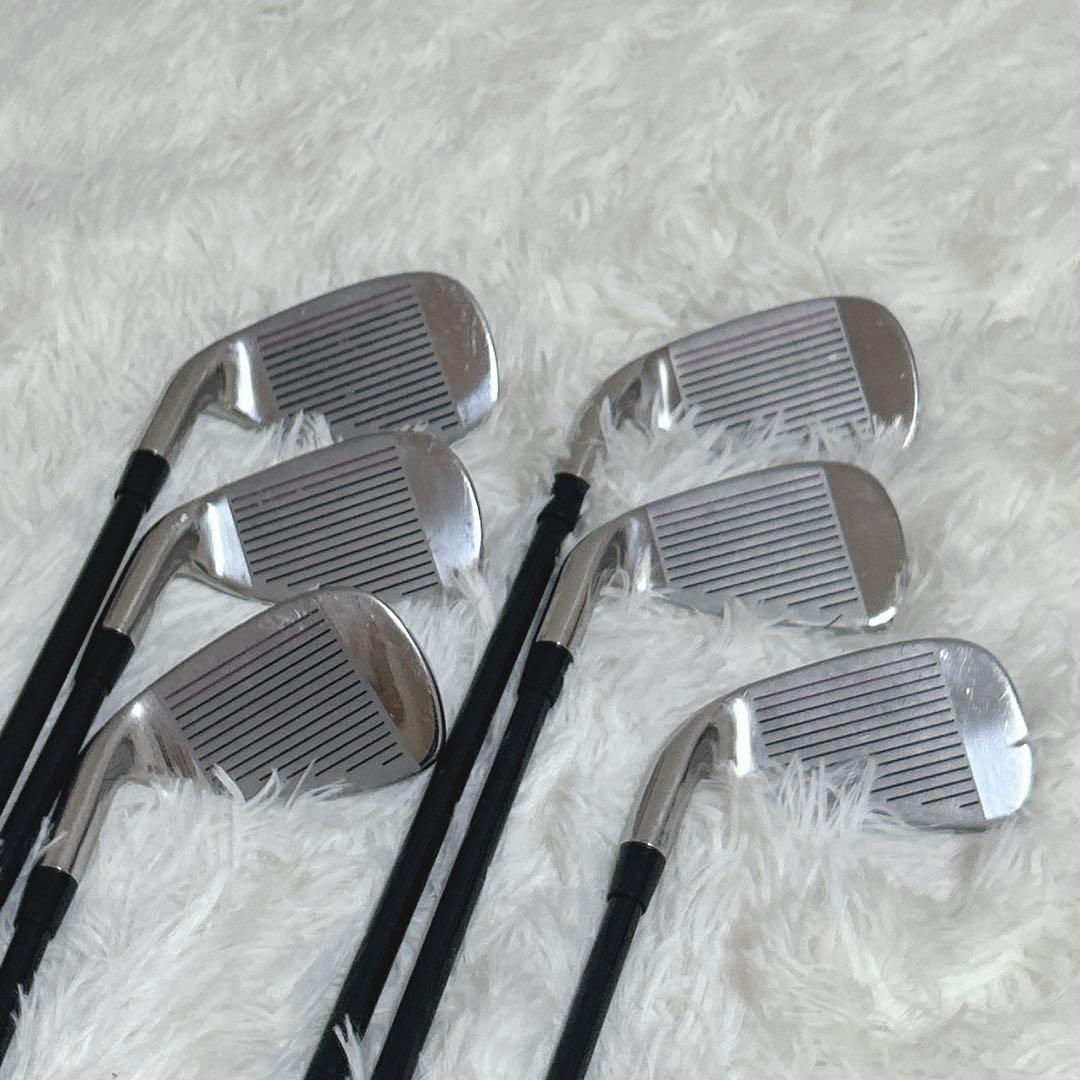 ワールドイーグル FL-01 V2 レディースクラブセット 10本 L 初心者