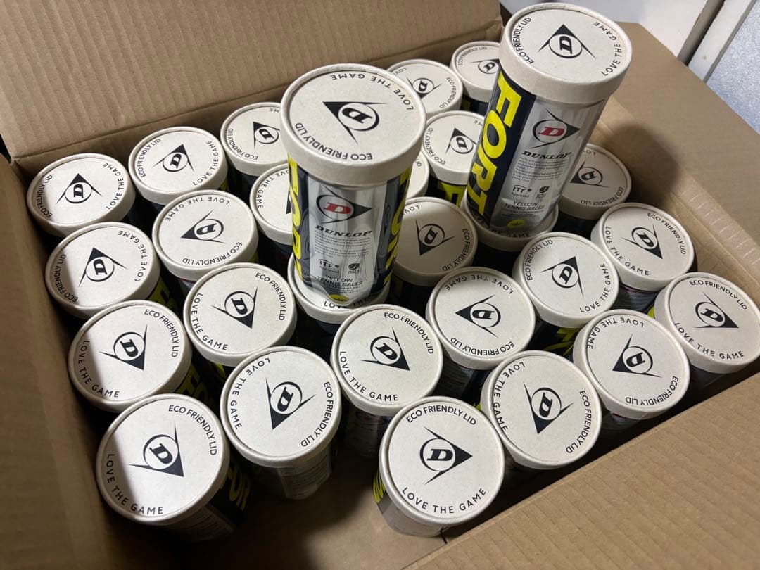 FORT(フォート) 硬式テニスボール ダンロップ　30缶60球