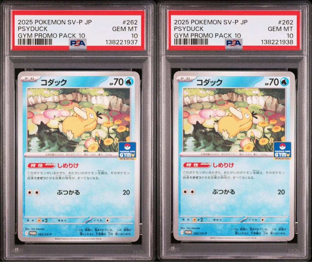 PSA10 連番 コダック ジムプロモ ③