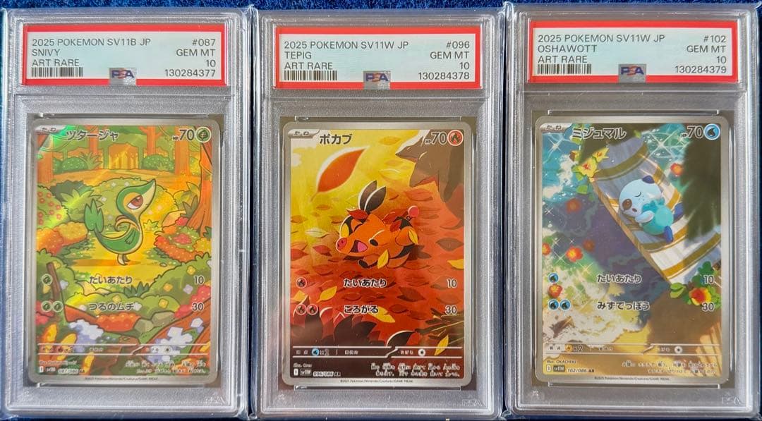 PSA10 ３連番 御三家 ツタージャ ポカブ ミジュマル AR ブラホワ