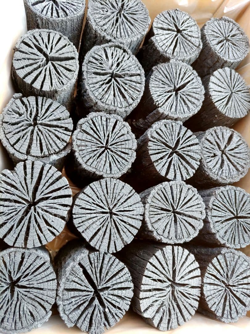 【愛媛産】クヌギ炉用胴炭約5kg 皮剥がれ