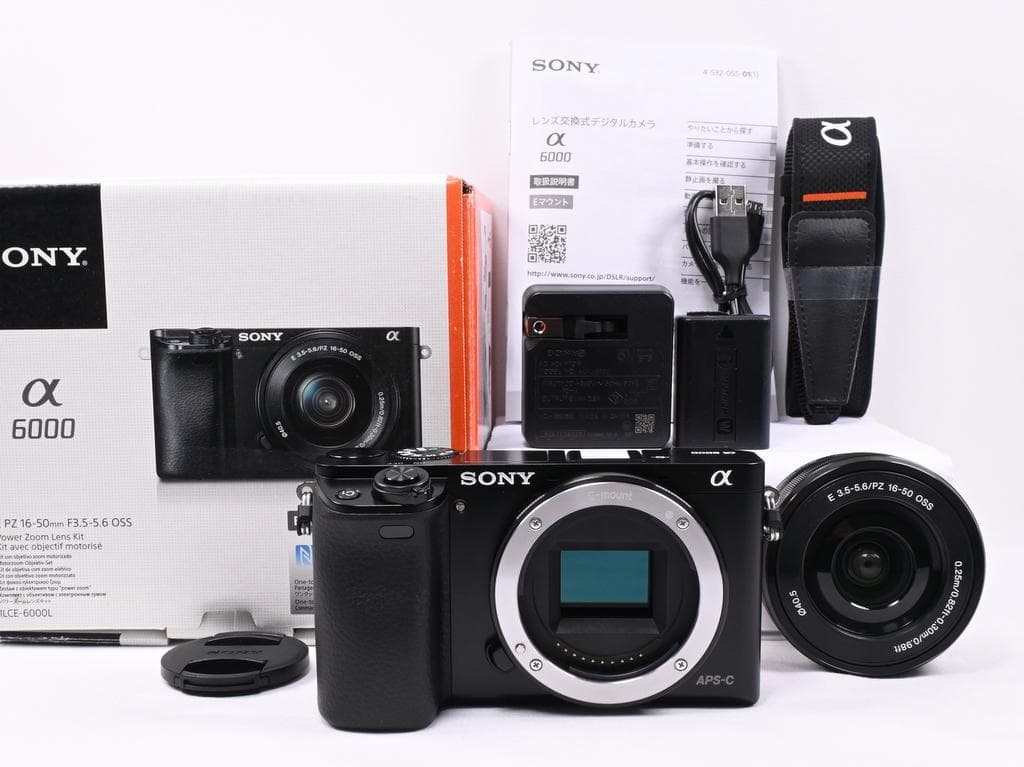 【超美品】ソニー α6000 ILCE-6000 レンズキット《ショット数99》